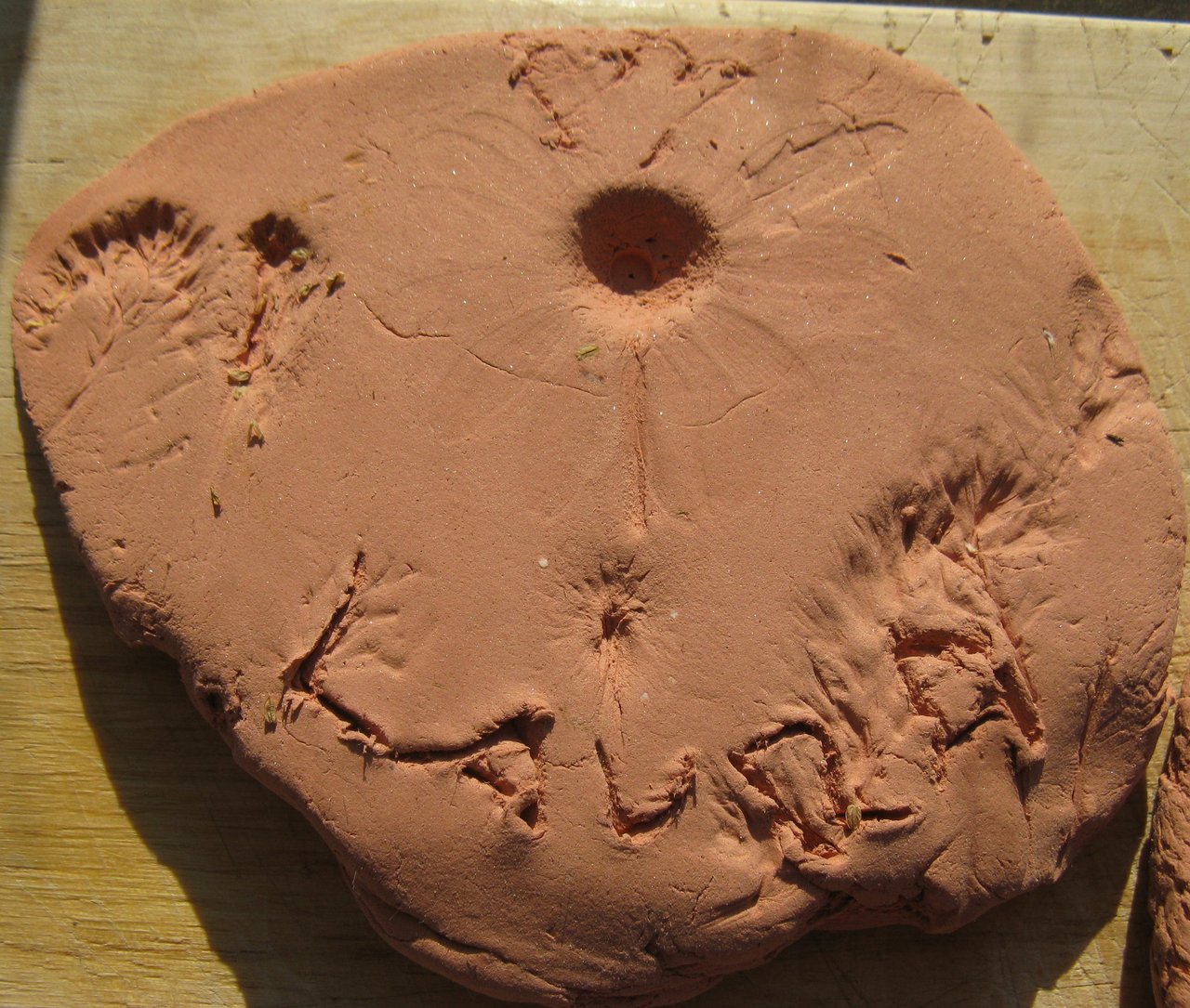 Wiesenmedaillon
